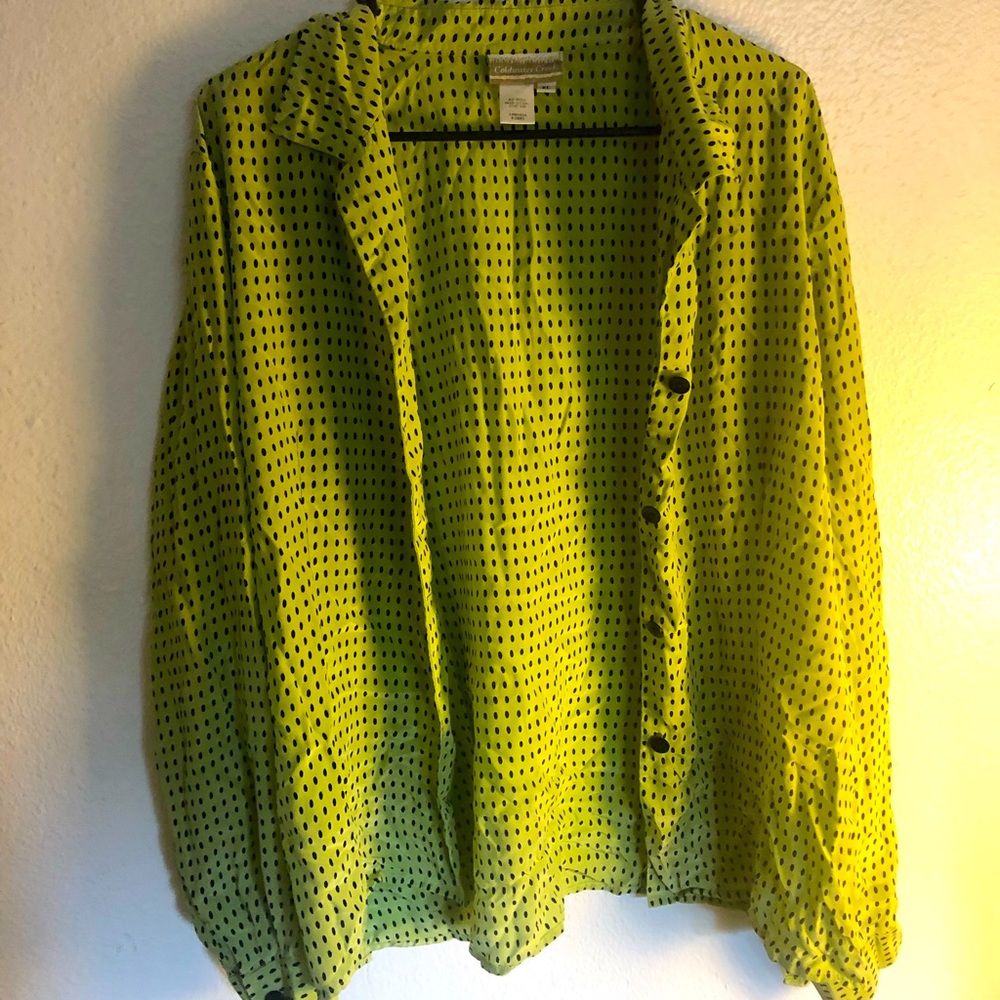 Silk button down